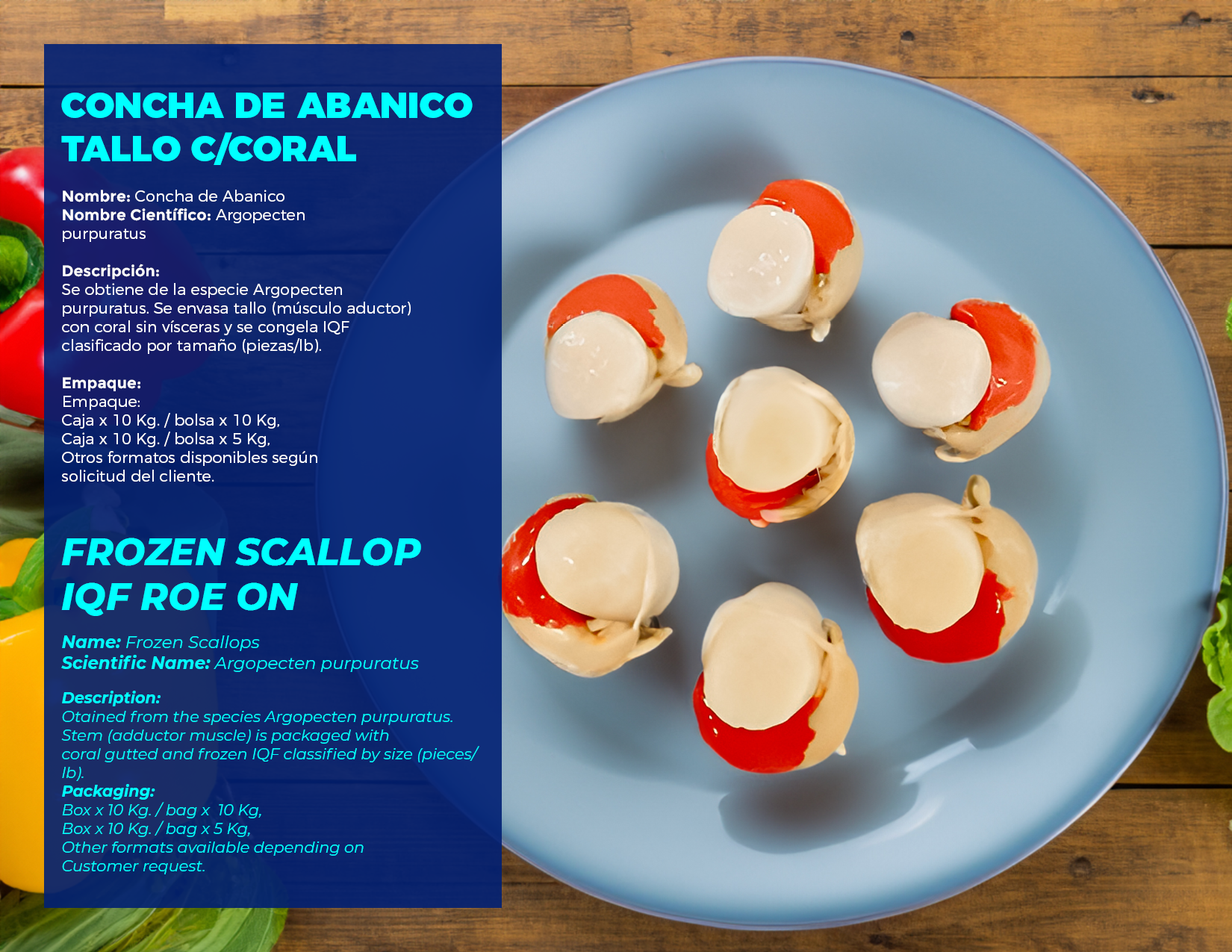 brochure 1